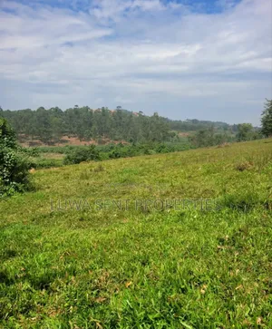 7 Sq Miles Msilo Land for Sale, Nakasongola