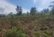 7 Sq Miles Msilo Land for Sale, Nakasongola - 2