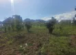 7 Sq Miles Msilo Land for Sale, Nakasongola - 3