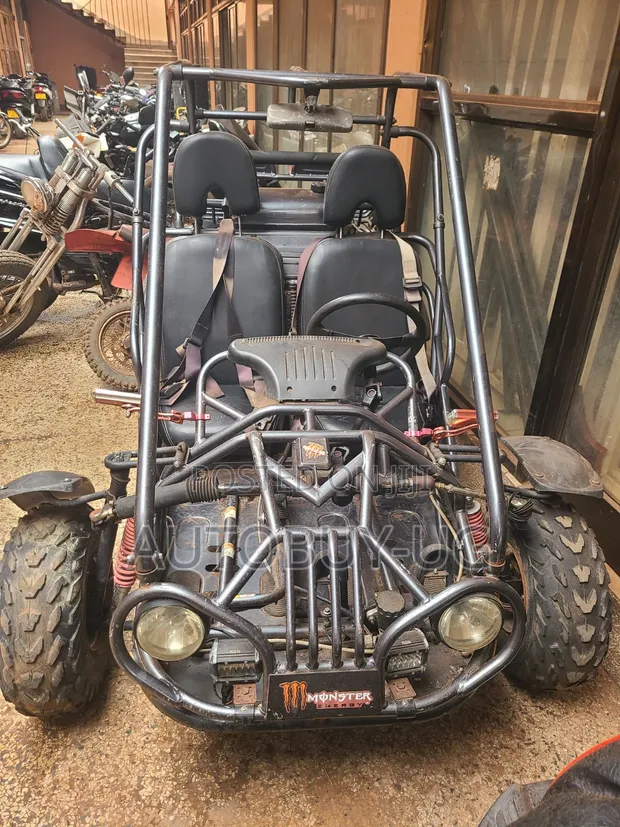 2015 Beach Buggy 250cc - Japan Used - 1