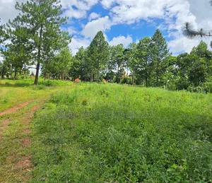 3 Acres Private Mailo Land for Sale in Busunju, Mityana