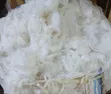 Cotton Waste (Kilograms) - 2