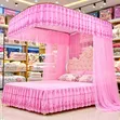 Luxury Pink Canopy Bed Mosquito Net Set - 1