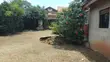 5 Bedroom House with Additional Units in Nakawa - 2
