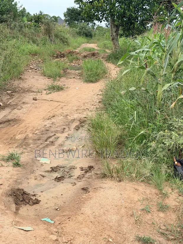 Plot of Land for Sale - Buwama, 100x50 Ft - 1