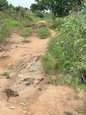 Plot of Land for Sale - Buwama, 100x50 Ft