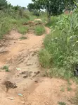 Plot of Land for Sale - Buwama, 100x50 Ft - 1