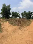 Plot of Land for Sale - Buwama, 100x50 Ft - 2