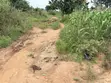 Plot of Land for Sale - Buwama, 100x50 Ft - 3