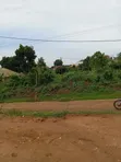 50x100ft Plots for Sale - Kiyunga (UGX 34m) - 2