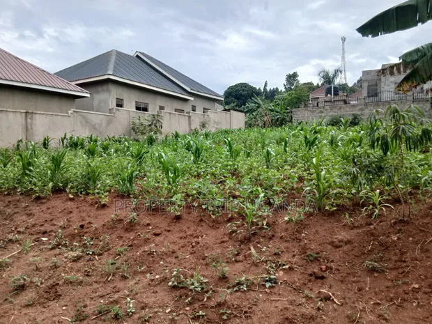 Residential Plot for Sale in Busukuma (Nabutiti Estate) - 1