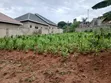 Residential Plot for Sale in Busukuma (Nabutiti Estate) - 1