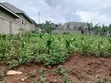 Residential Plot for Sale in Busukuma (Nabutiti Estate) - 2