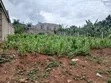 Residential Plot for Sale in Busukuma (Nabutiti Estate) - 5