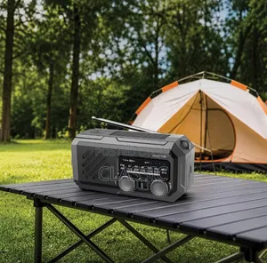 Green Lion G-Radio Lite with Power Bank & Flashlight
