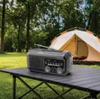 Green Lion G-Radio Lite with Power Bank & Flashlight - 1