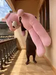 Human Sized Pink Teddy Bear - 4