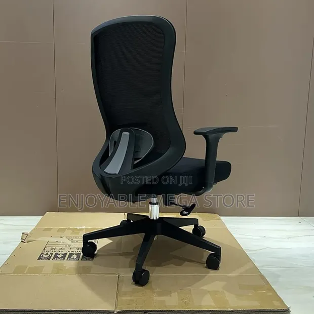 Ergonomic Back Support Office Chair - Brand New - 1