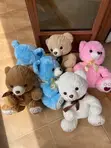 Success Card Bears - 55cm Stuffed Animals - 1