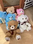Success Card Bears - 55cm Stuffed Animals - 3