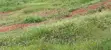 1 Acre Land for Sale in Gobero, Luwami, Wakiso District - 3