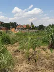 Residential Plot for Sale in Kira Bulindo - 2