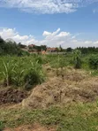 Residential Plot for Sale in Kira Bulindo - 4
