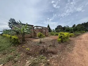 Plot for Sale in Bombo TC