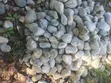 Fountain Stones / Pebble Stones for Decoration - 1