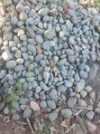 Fountain Stones / Pebble Stones for Decoration - 4