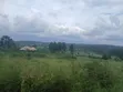 Gayaza Majigye Plots for Sale - 3