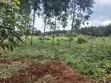 Gayaza Majigye Plots for Sale - 4