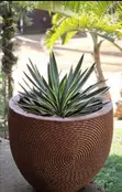 Durable Clay Flower Pots - Extra Large Brown - 2