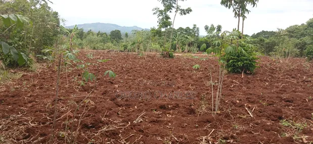 Bujagali, Jinja: 1 Acre Commercial Land Near River Nile - 1