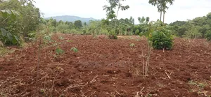 Bujagali, Jinja: 1 Acre Commercial Land Near River Nile