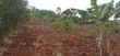 Bujagali, Jinja: 1 Acre Commercial Land Near River Nile - 2