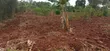 Bujagali, Jinja: 1 Acre Commercial Land Near River Nile - 3