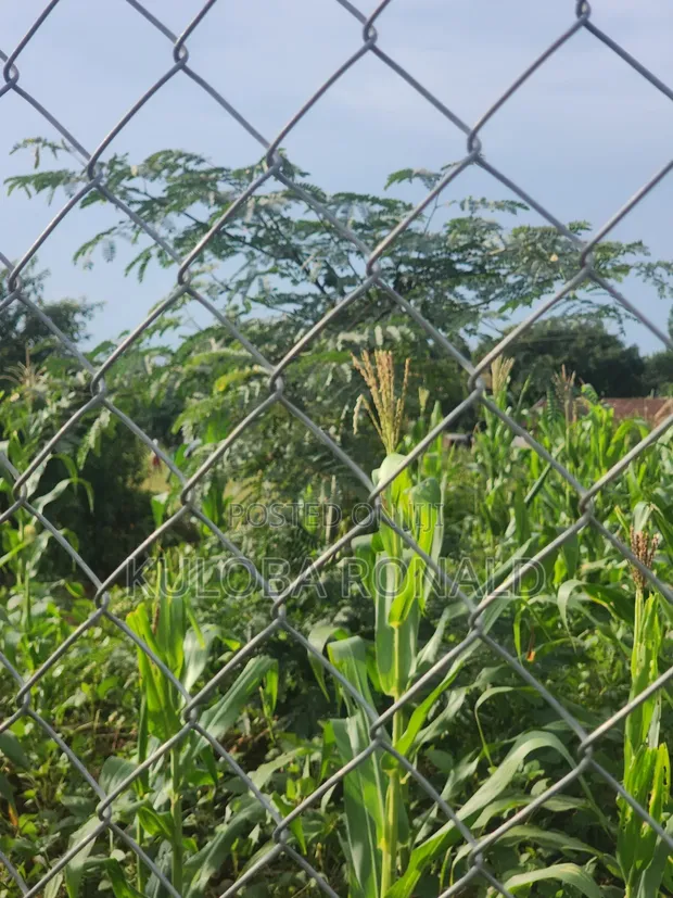 Commercial Land for Sale in Butaleja District - 1