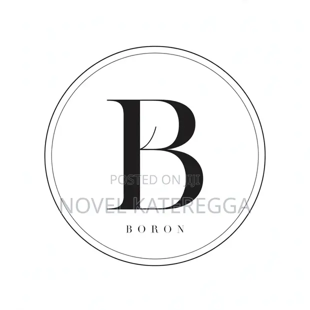 Boron Minimalist Logo Design Service - 1