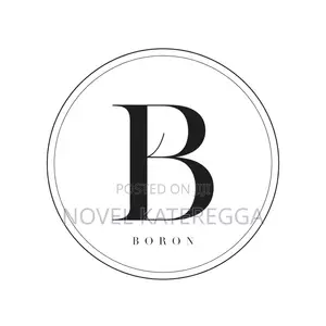 Boron Minimalist Logo Design Service