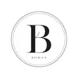 Boron Minimalist Logo Design Service - 1