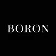 Boron Minimalist Logo Design Service - 2
