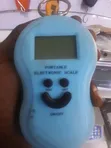 Portable Digital Electronic Weighing Scale - 1