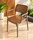 Ergonomic Mesh Back Plastic Chairs with Armrests - 1