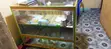 Board Shelves and Glass Counter - Used - 2
