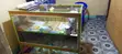 Board Shelves and Glass Counter - Used - 3