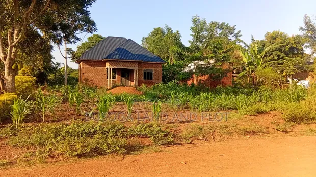 50x300 Ft Plot Near Nawanyingi Country Headquarters, Iganga - 1