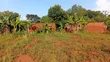 50x300 Ft Plot Near Nawanyingi Country Headquarters, Iganga - 2