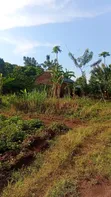 50x300 Ft Plot Near Nawanyingi Country Headquarters, Iganga - 3
