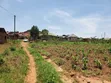 13 Decimals Land for Sale in Gayaza Kabubuu - 1